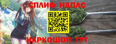 PSILOCYBIN Кунгур
